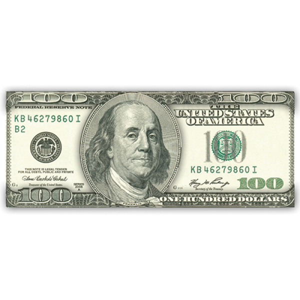 $100 Bill 2D Foil Magnet