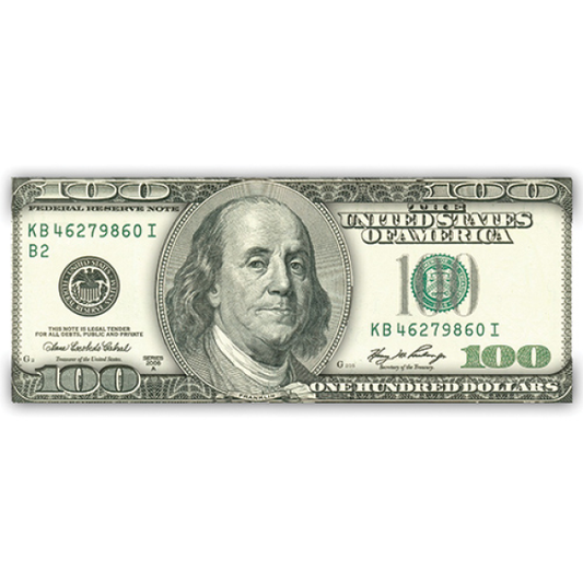 $100 Bill 2D Foil Magnet