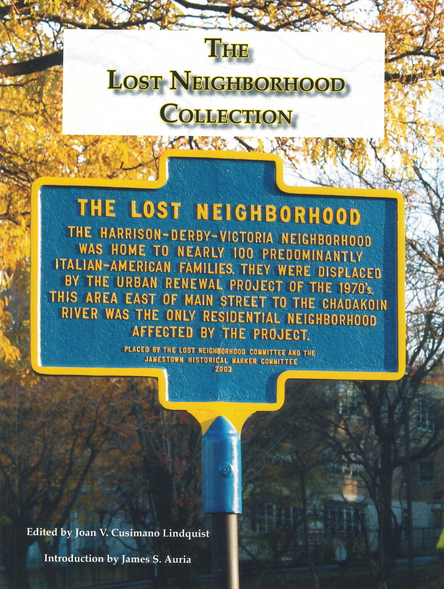 The Lost Neighborhood Collection